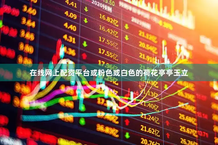 在线网上配资平台或粉色或白色的荷花亭亭玉立
