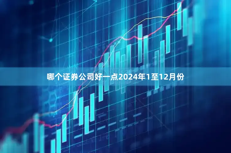哪个证券公司好一点　　2024年1至12月份
