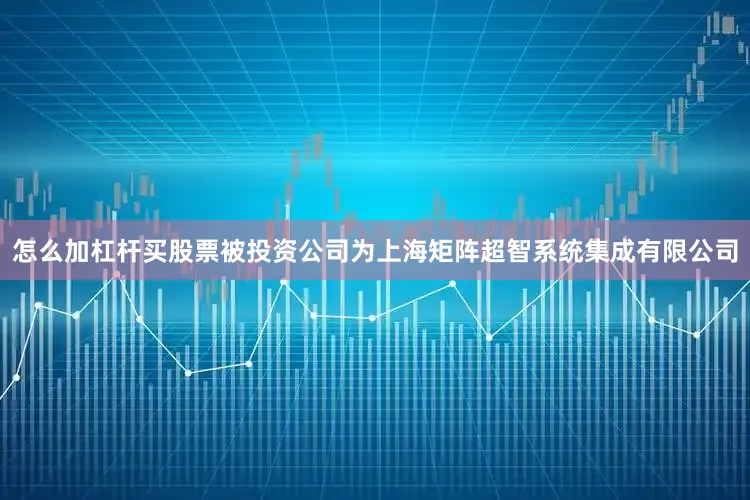 怎么加杠杆买股票被投资公司为上海矩阵超智系统集成有限公司